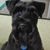 David Entsminger's profile image