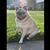 Shawna Lyn's profile image