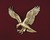 Steve R.'s profile image