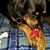 Candace Russell's profile image