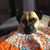 Kim Nitka's profile image