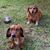 Carolyn Motsch's profile image