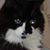 Sue Grace's profile image