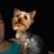 Nicole Walters's profile image