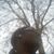 Catherine Sheri Jasper's profile image
