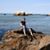 Chad Alin Armbruster's profile image