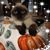 Holly Henry's profile image