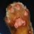 Beth Coulman's profile image