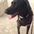 Karen Talaber-Clement's profile image