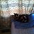 Alexandra Halpin-Gilmore's profile image