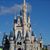 Cofields Winter Disney's profile image
