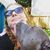 Kathleen Taylor's profile image
