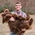 Alec Rohr's profile image