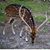 Laura Walker Thompson's profile image