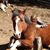 Tammy Miller's profile image