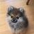 Karen Lynch's profile image