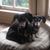 Wendy Butler's profile image