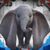 Sharon Ward's profile image