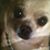 Grace Margaret's profile image