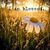 Theresa Marie Miyah Stiehle's profile image
