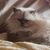 Terry Martin's profile image