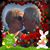 Carol Young Carey's profile image