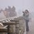 Carolyn Simancik's profile image