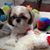 Pat Sweeney Babiarz's profile image