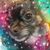 Doris Raymond's profile image