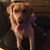 Jenn Newcomb's profile image
