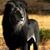 Richard Turner's profile image