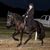 Beth Nenninger McClain's profile image