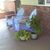 Frances M Hill's profile image