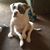 Mark Tony Jacquez's profile image