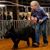 Tammy Swinford Sontag's profile image