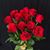 Yasmeen Khan's profile image