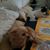 Judy Karr's profile image