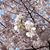Mamtha Rau's profile image