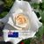 Malu Garcia's profile image