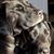 June Lepley's profile image