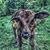 Matt Edgreen's profile image