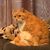 Kelli Mills Bourke's profile image