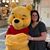 Molly Brodeur Nesbitt's profile image