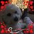 Denise Daley's profile image