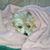 Tara Schaefer Scheve's profile image