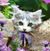 Susan Reisner's profile image