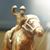 Don Rhoades's profile image