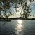April Lovitt Sherrard's profile image