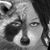 Talya Spagner's profile image