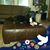 Brenda Casey Swyden's profile image